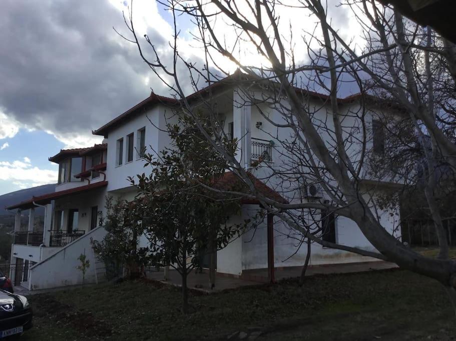 Villa_Kleio Litóchoron Ngoại thất bức ảnh