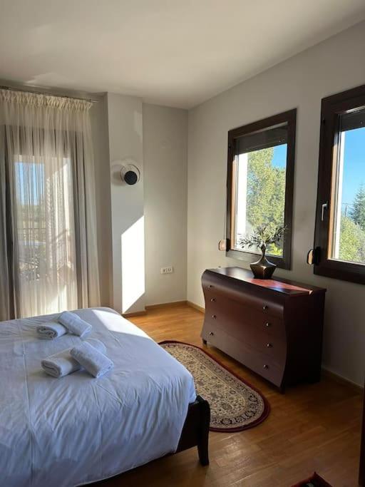 Villa_Kleio Litóchoron Ngoại thất bức ảnh